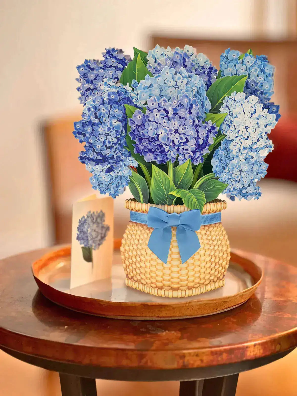 NANTUCKET HYDRANGEA