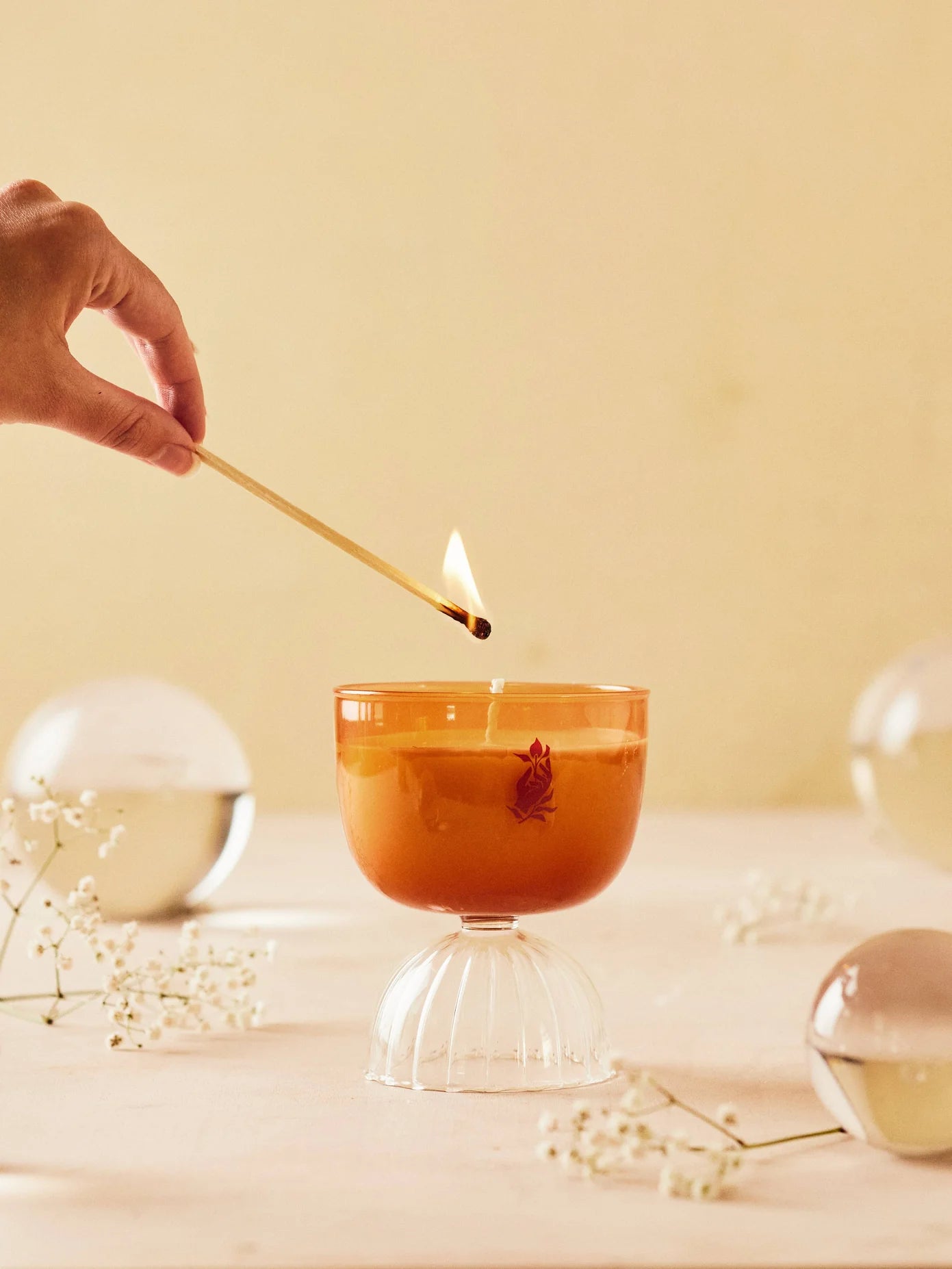MIMOSA COUPE CANDLE - 7OZ