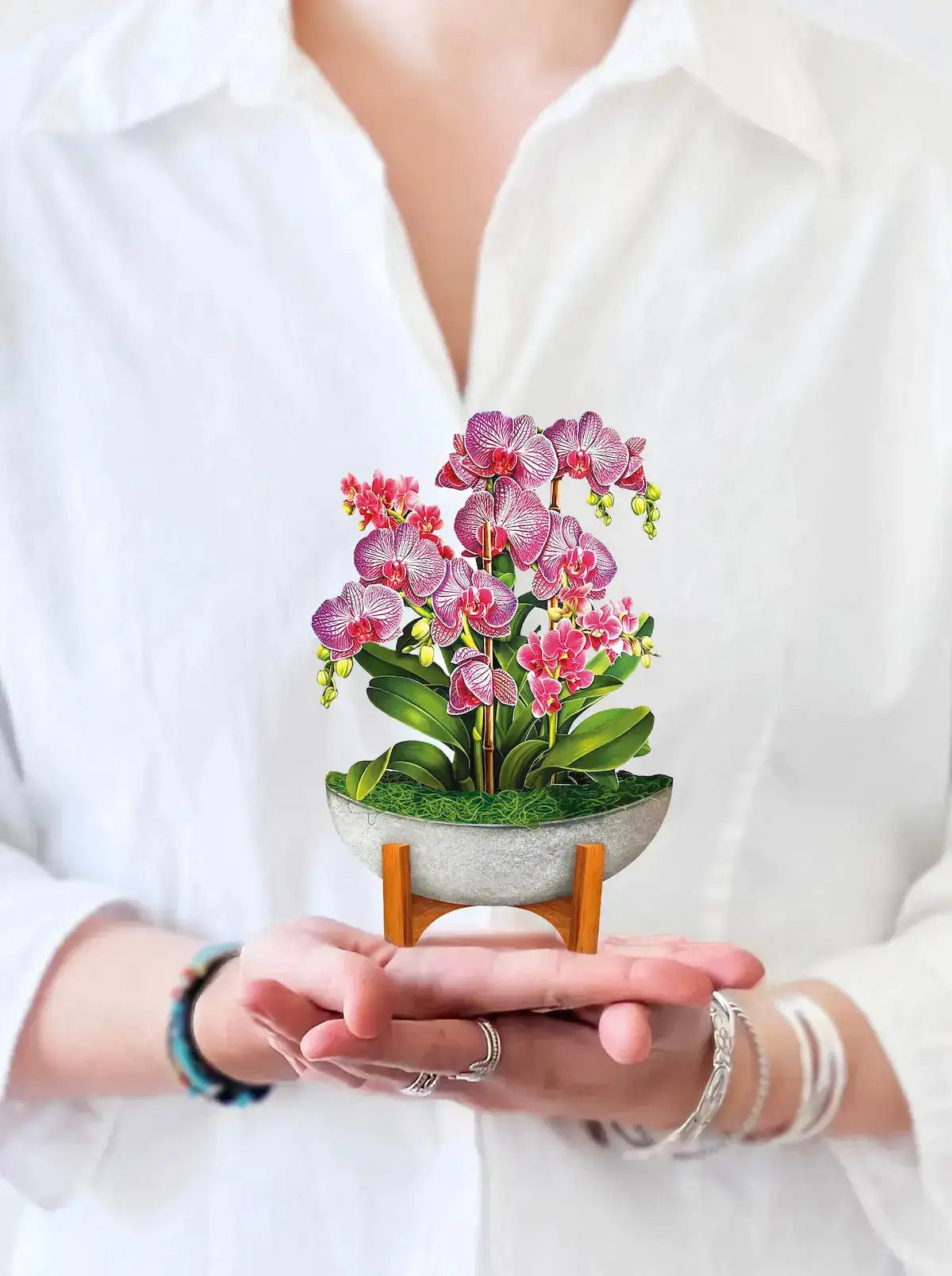 MINI ORCHID OASIS