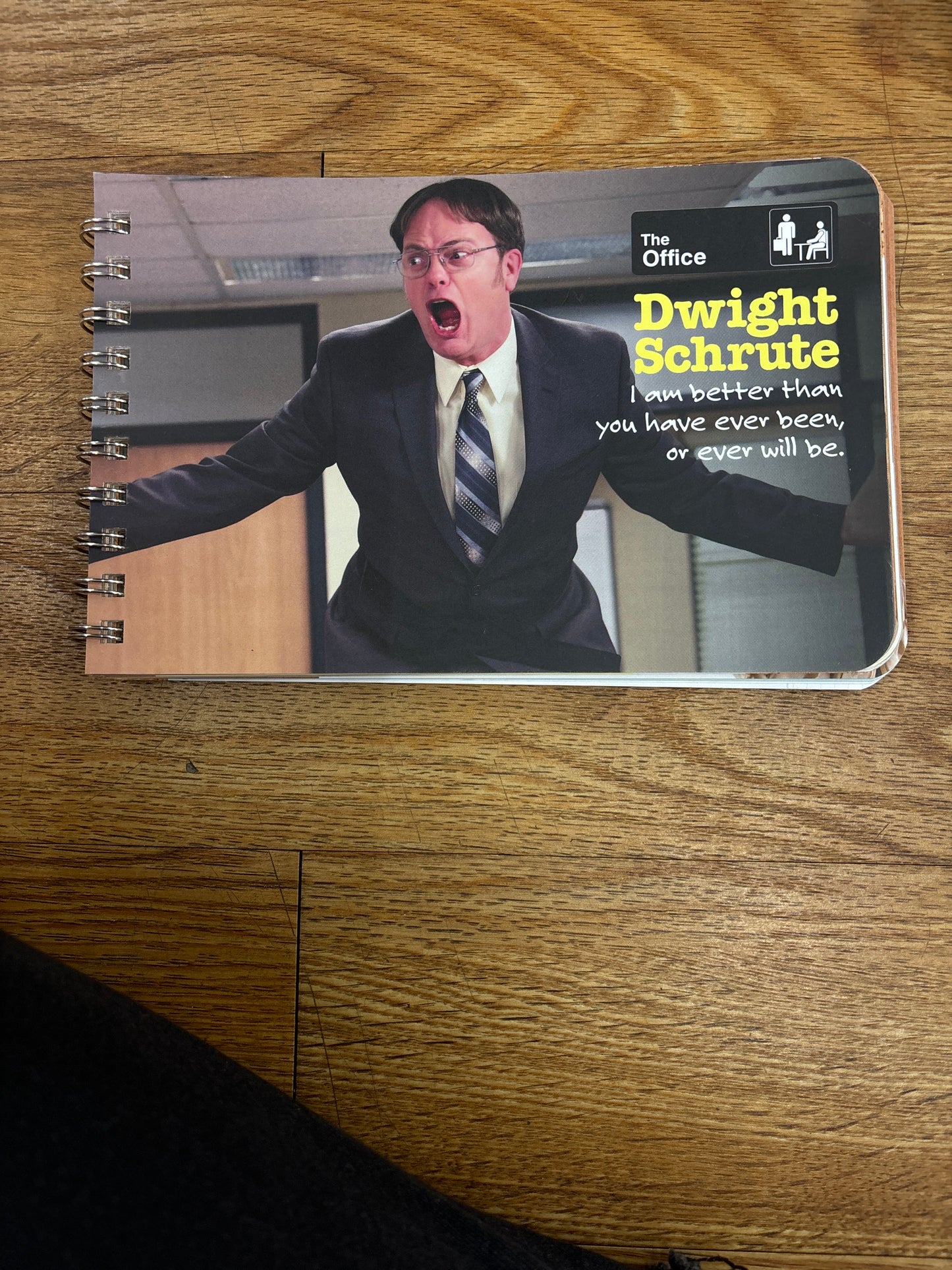DWIGHT SCHRUTE BOOK