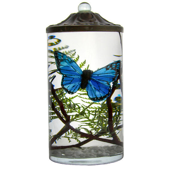 LIFETIME CANDLES - SM CYL - BLUE BUTTERFLY