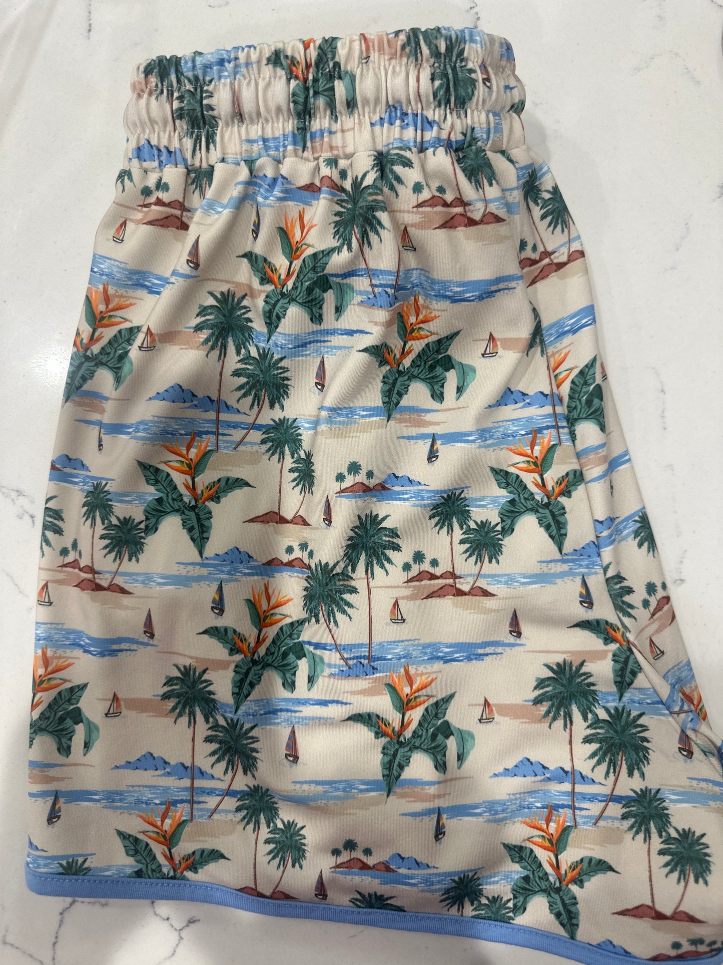 EVERYDAY SHORTS - BEACH BOYS