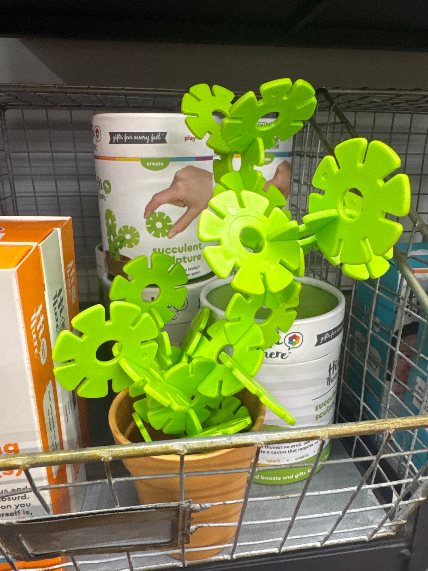 HI THERE - SUCCULENT SCULPTURE