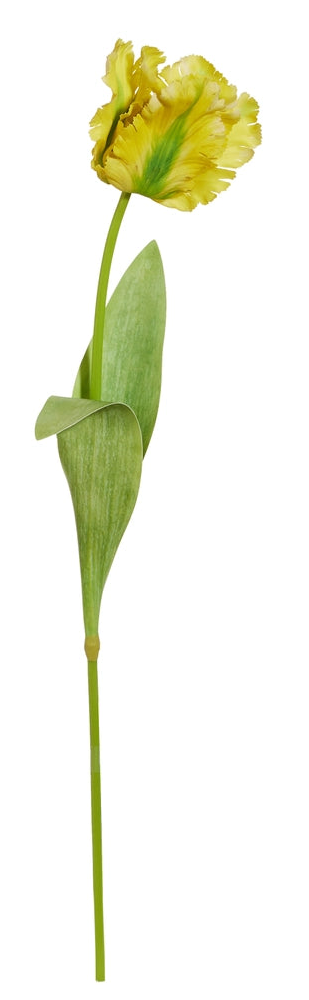 28" REAL TOUCH ORANGE OR YELLOW PARROT TULIP STEM