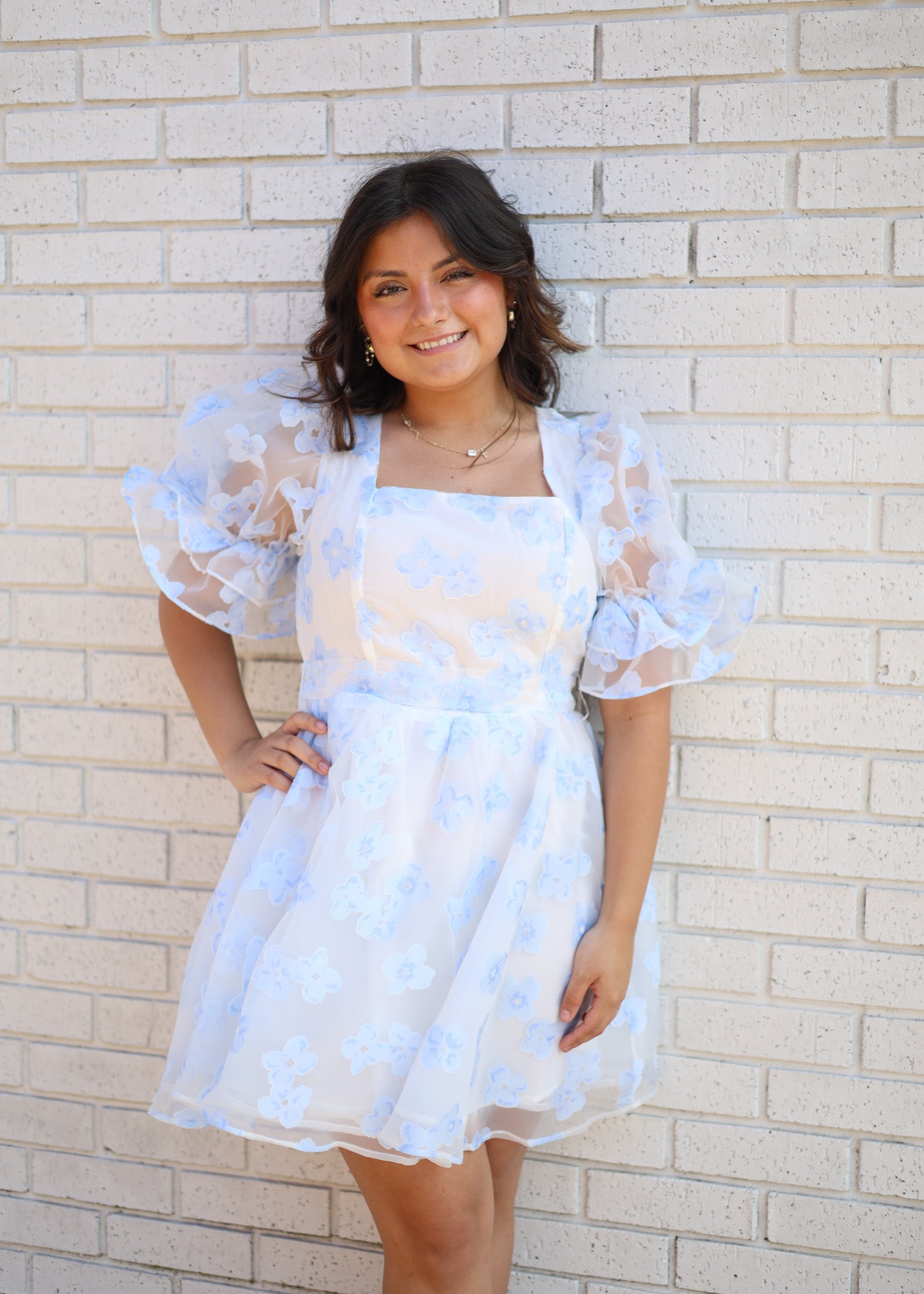 Floral Organza Fit & Flare Mini Dress M / Sky Blue Floral Organza Fit & Flare Mini Dress M / Sky Blue