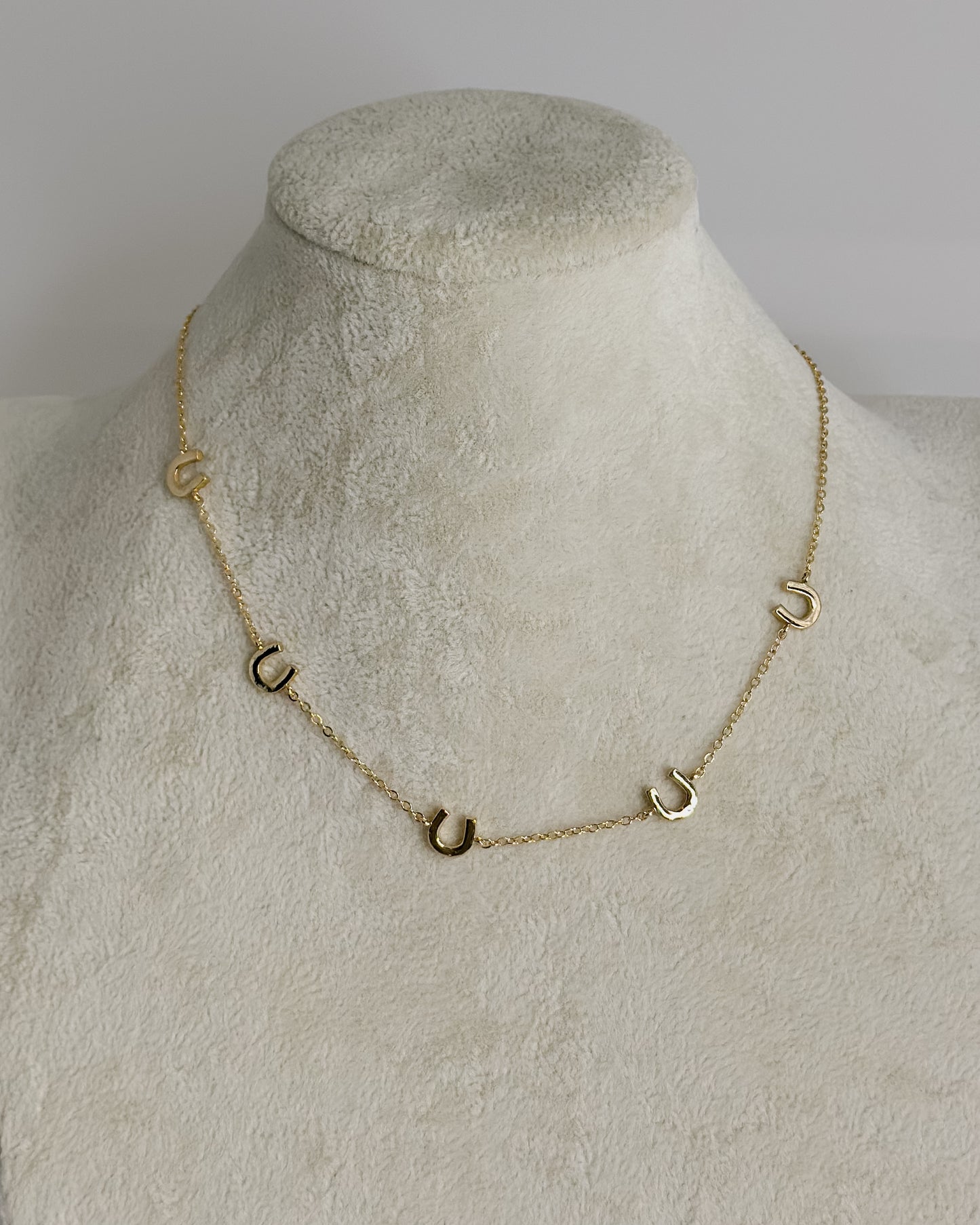 FIVE HORSE SHOE NECKLACE - Pharm Favorites by Economy Pharmacy