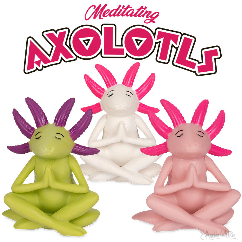 MEDITATING AXOLOTL