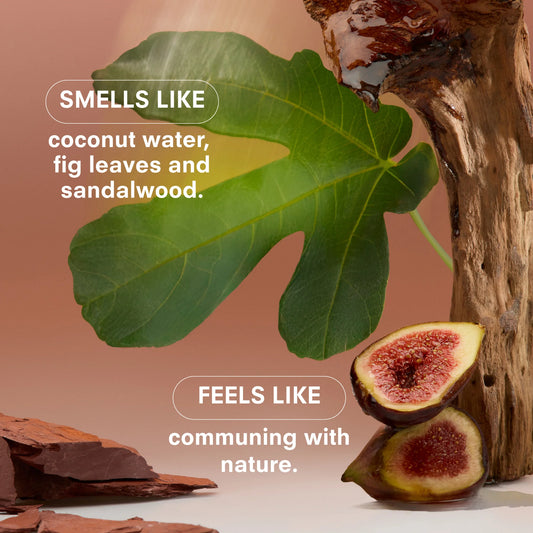 WOODPHORIA FINE FRAGRANCE