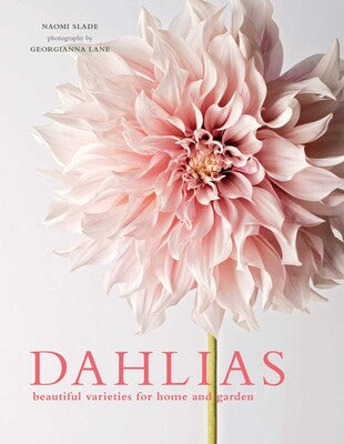 DAHLIAS BOOK