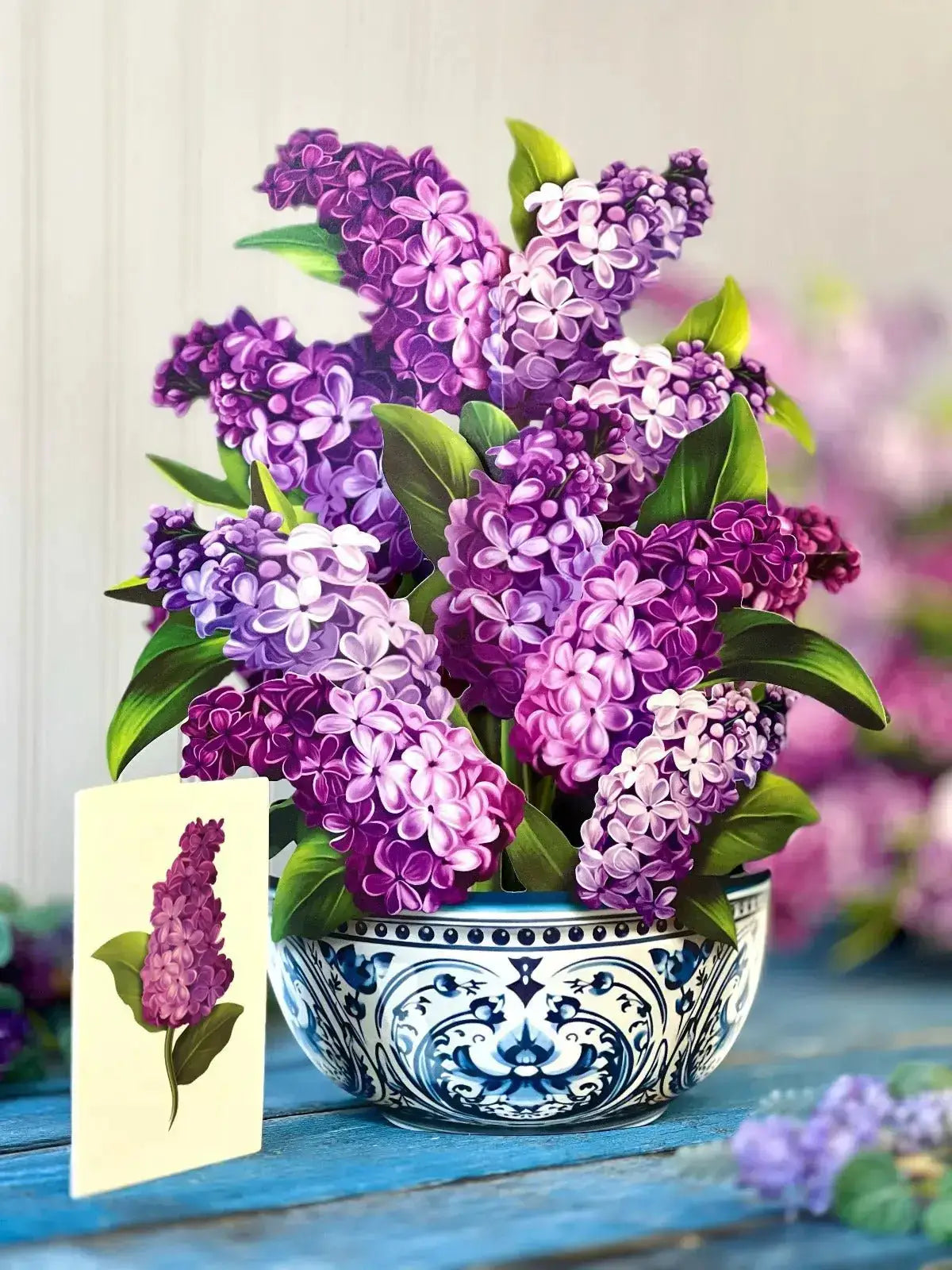 GARDEN LILACS