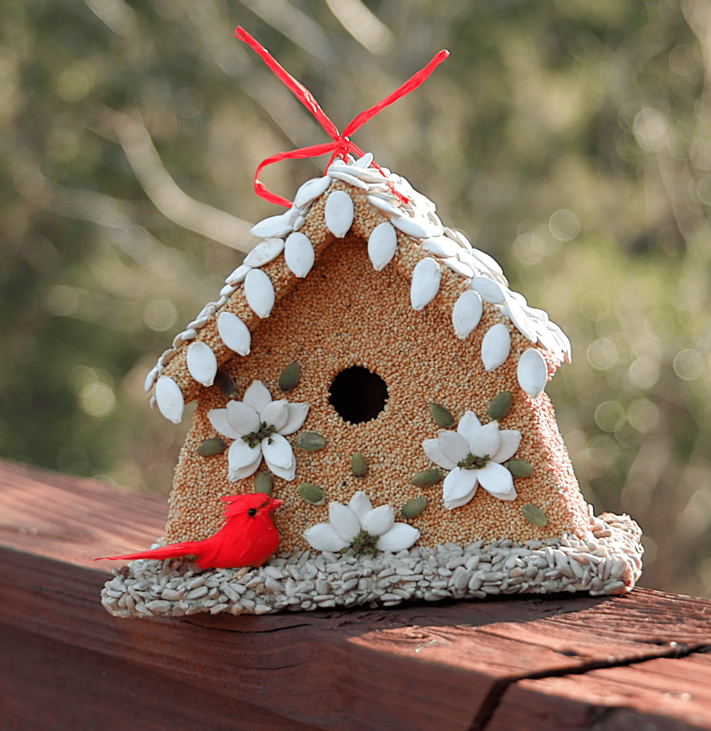 MR BIRD POINSETTIA HOUSE