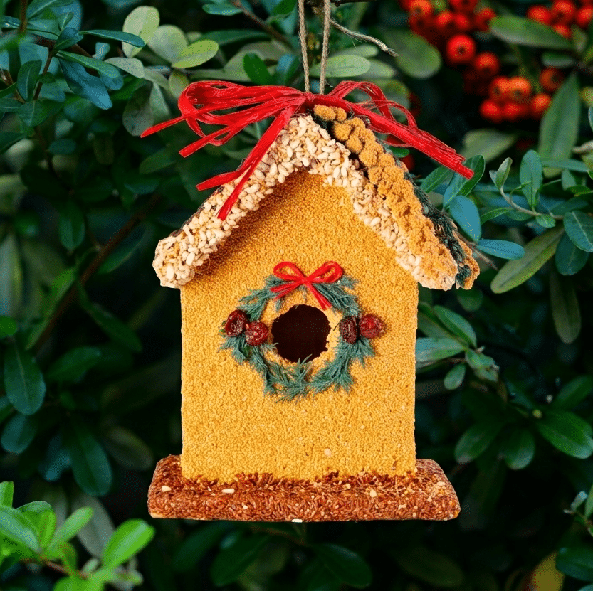 MR BIRD BIRDIE'S B&B BLUEBIRD