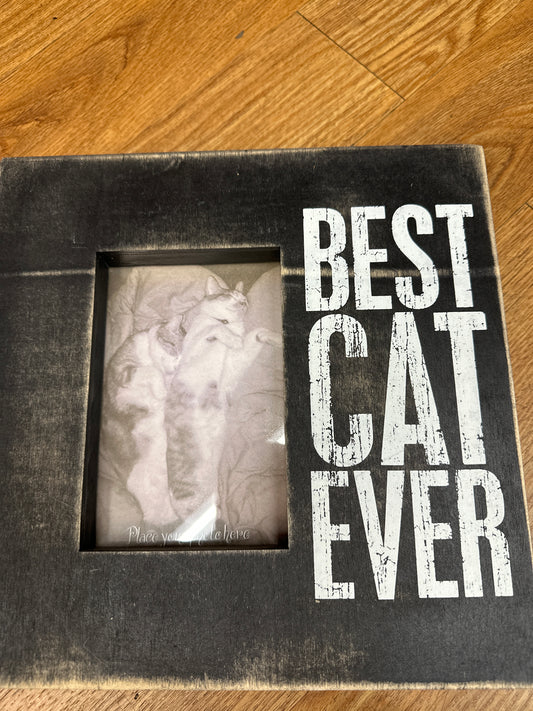 BOX SIGN - BEST CAT EVER