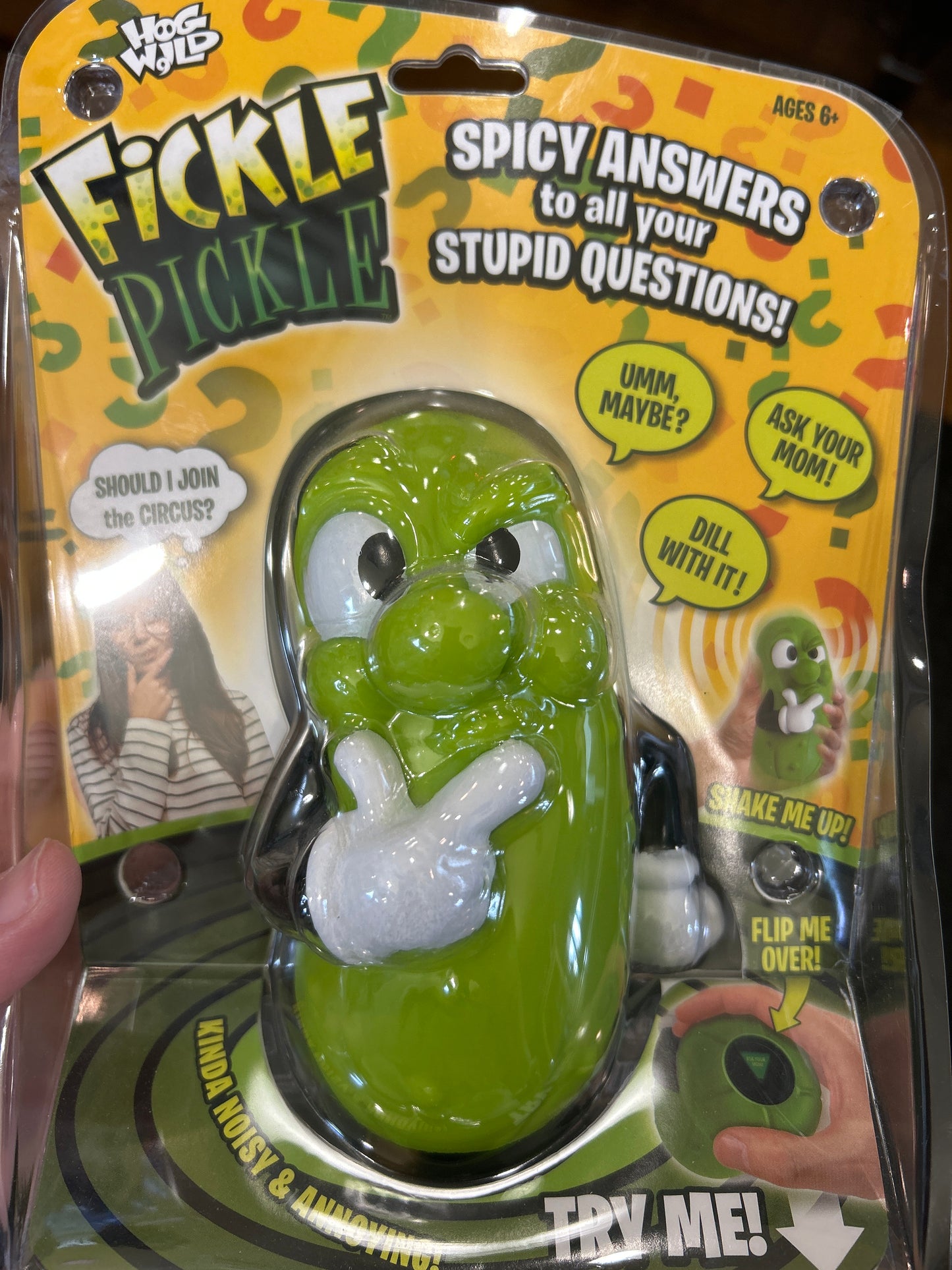 FICKLE PICKLE