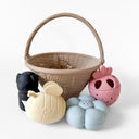 STRAWBERRY PATCH BATH TOYS - Pharm Favorites by Economy Pharmacy