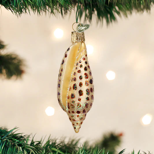 Junonia Shell Ornament