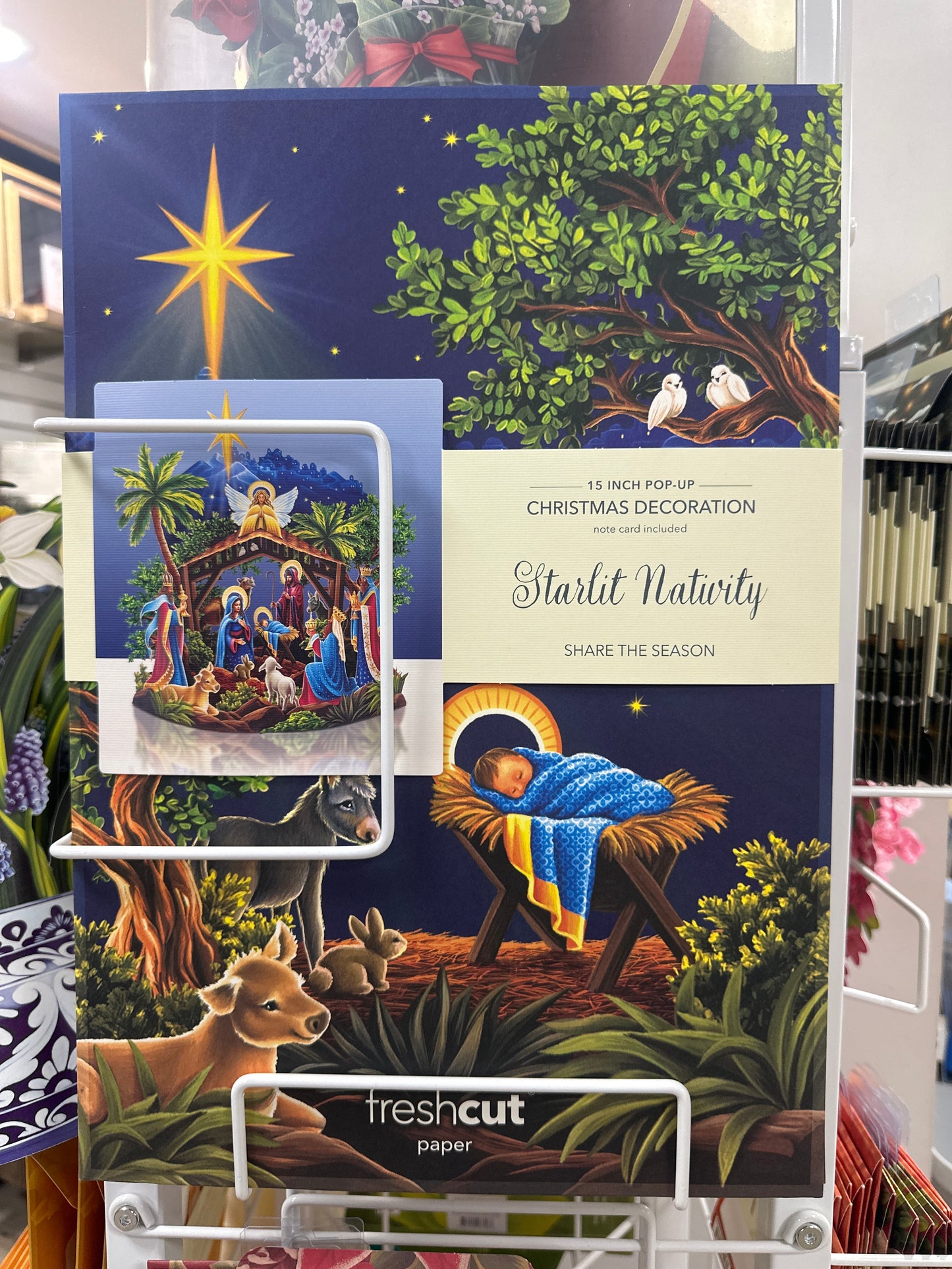 STARLIT NATIVITY