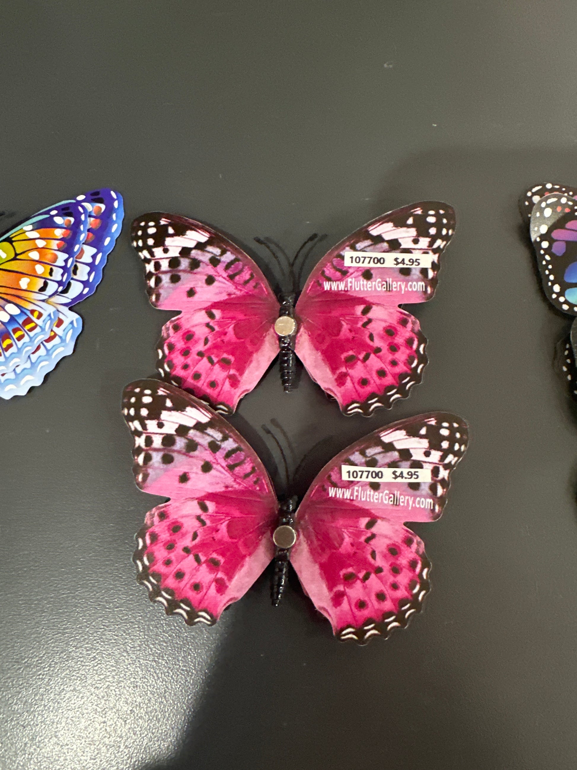 MAGNET BUTTERFLY - MEDIUM - Pharm Favorites by Economy Pharmacy