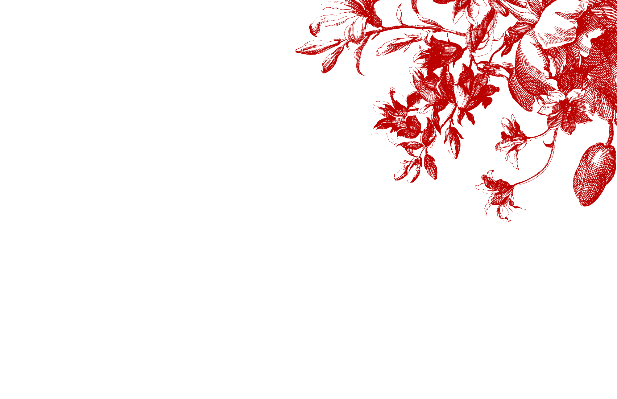 TOTALLY TOILE insert set of 10