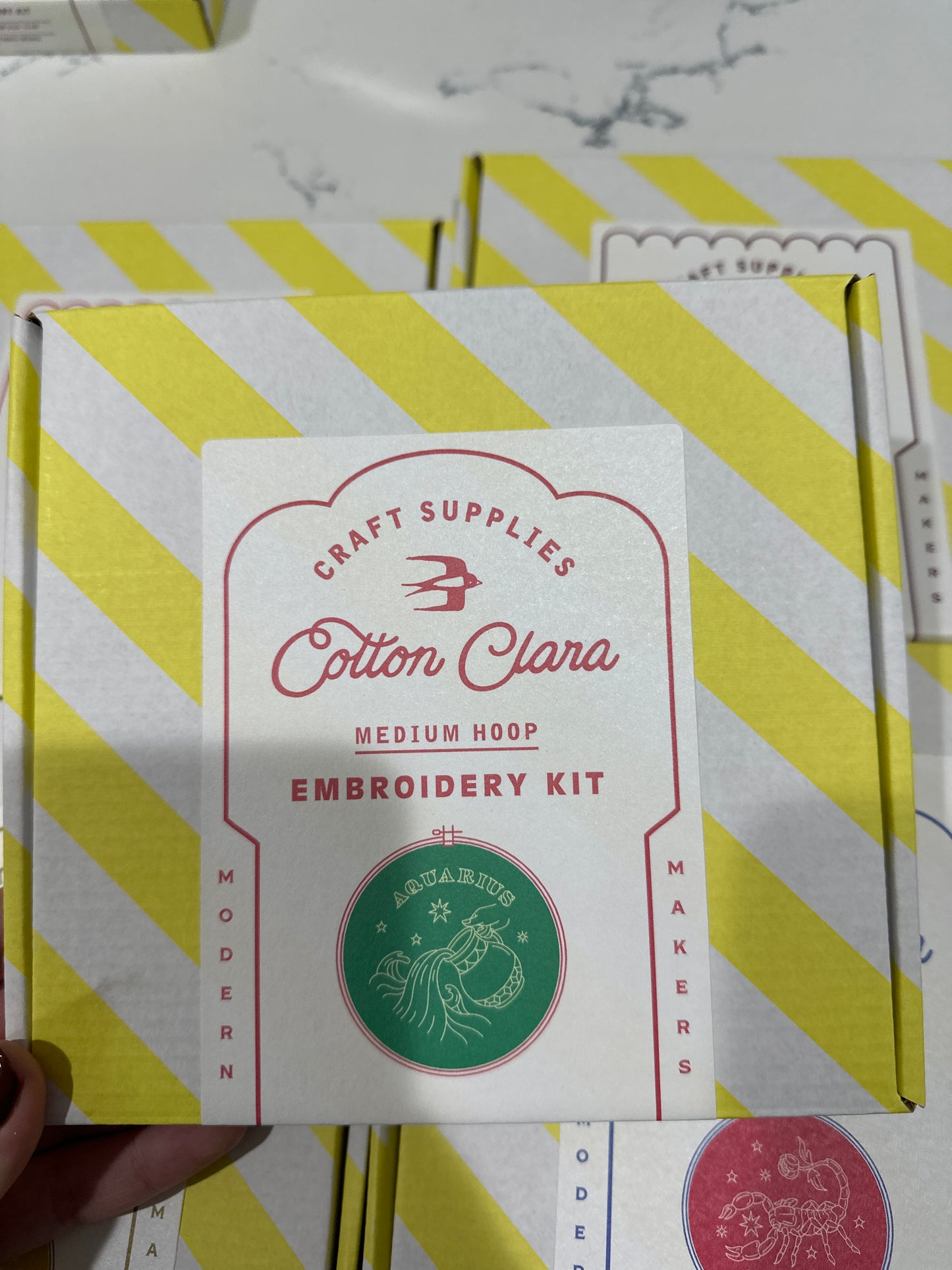 EMBROIDERY HOOP KIT - ZODIAC - AQUARIUS - Pharm Favorites by Economy Pharmacy