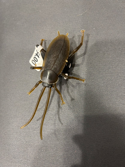 RACING ROACHES