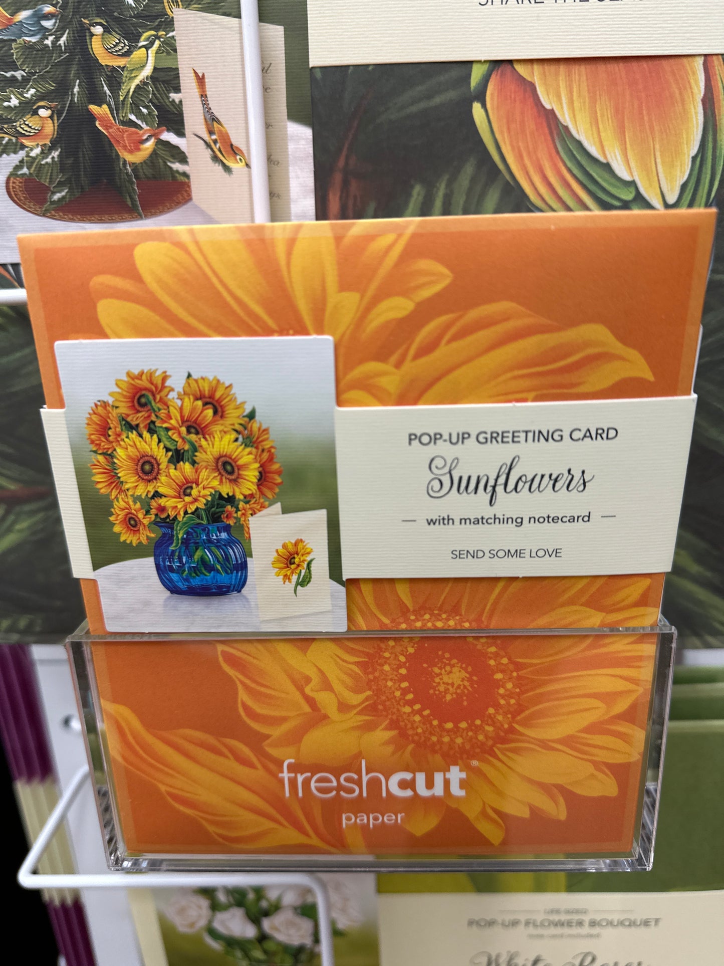 MINI SUNFLOWER