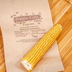 Popcorn on the Cob - Poppin Cobs Microwave Popcorn - 3 Pack