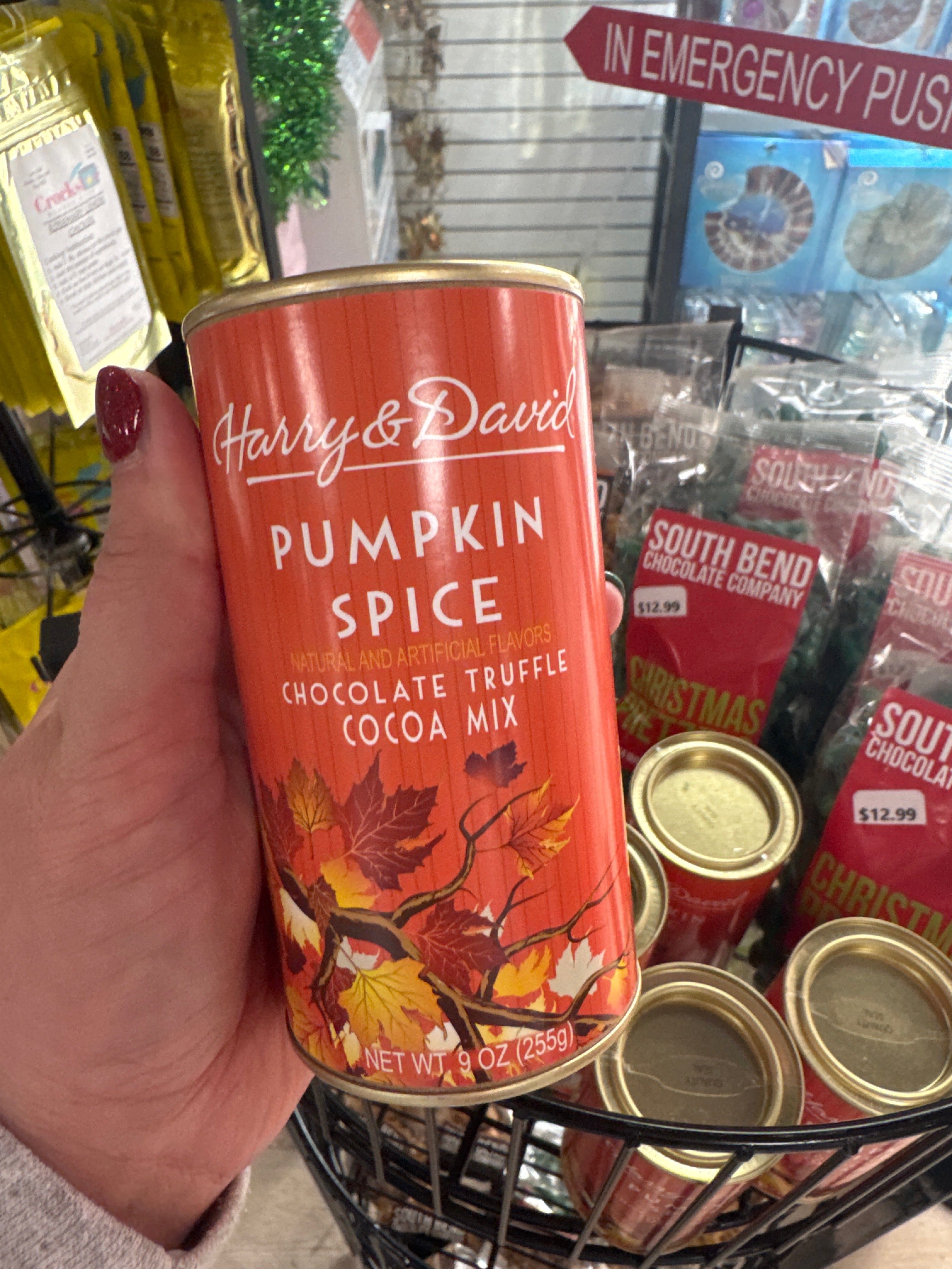 HARRY & DAVID FALL PUMPKIN SPICE COCOA