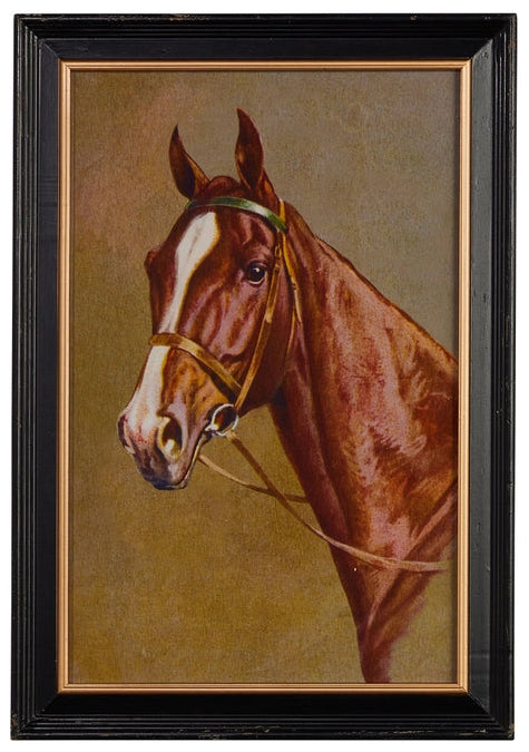 24" VINTAGE EQUESTRIAN FRAMED WALL ART
