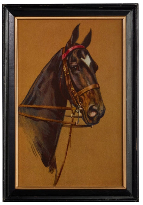 24" VINTAGE EQUESTRIAN FRAMED WALL ART