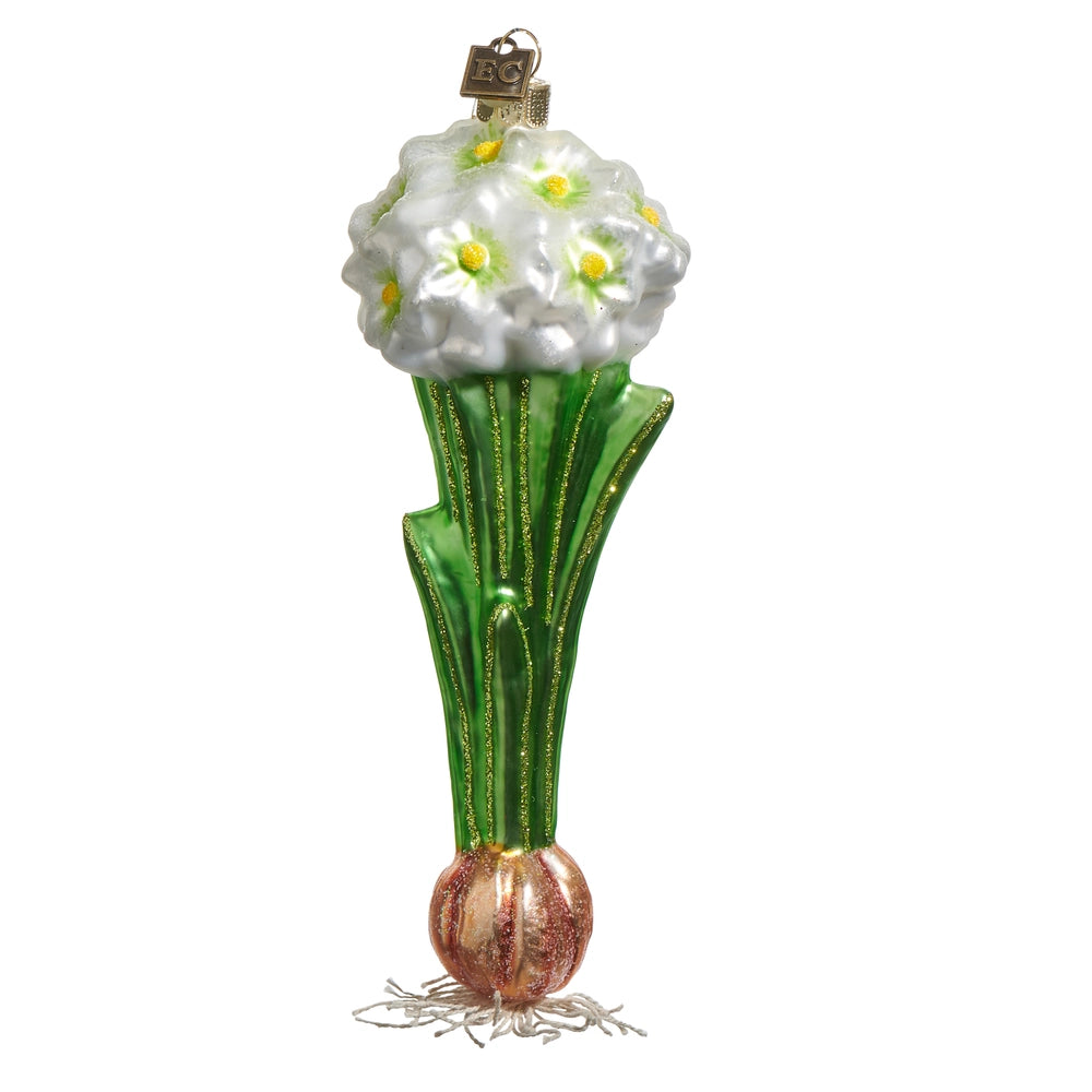 7" PAPERWHITE BULB ORNAMENT
