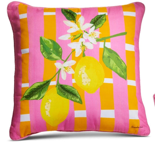 18" CITRUS WEAVE PILLOW