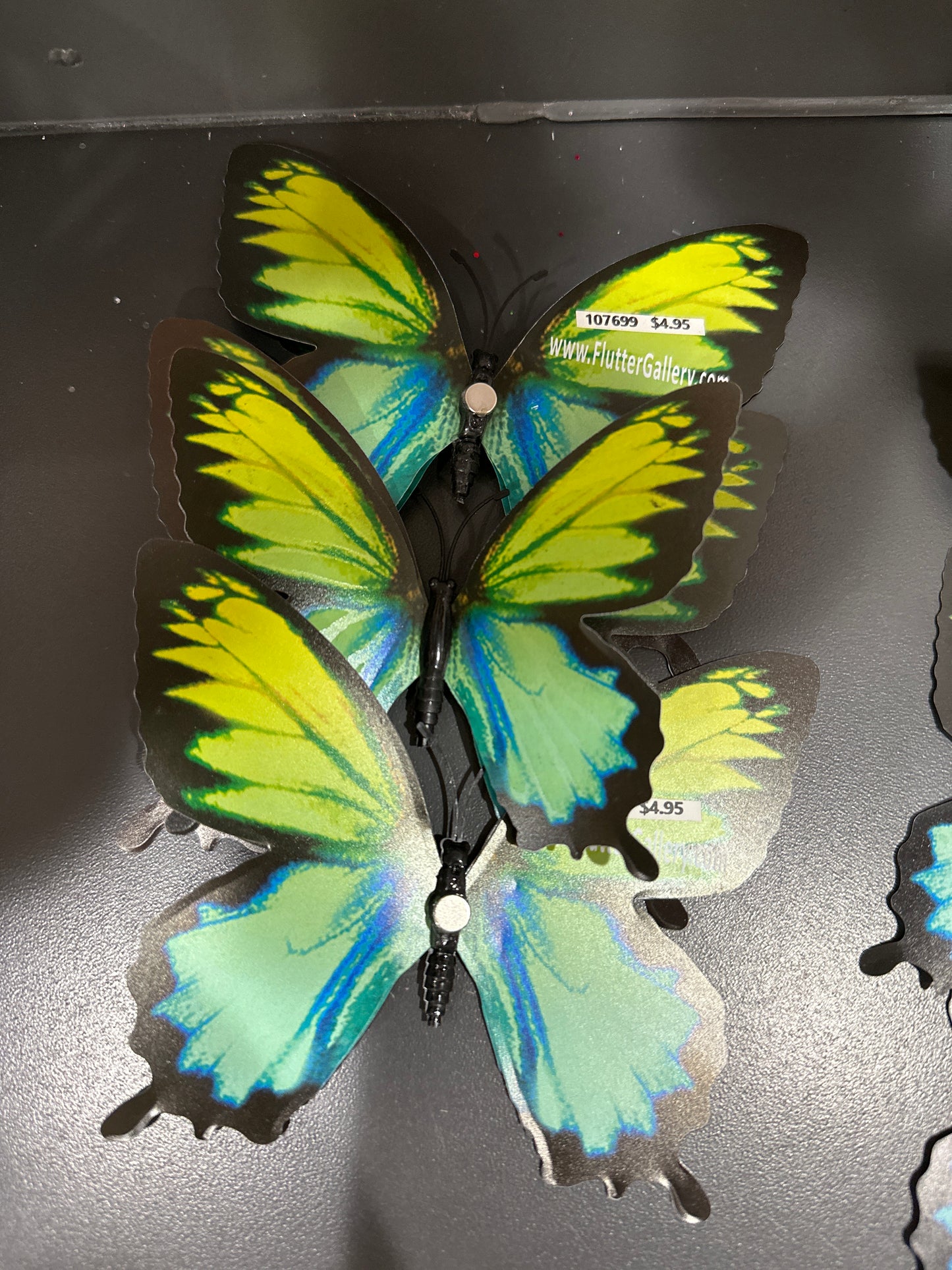 MAGNET BUTTERFLY - LARGE