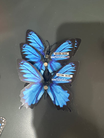 MAGNET BUTTERFLY - MEDIUM - Pharm Favorites by Economy Pharmacy