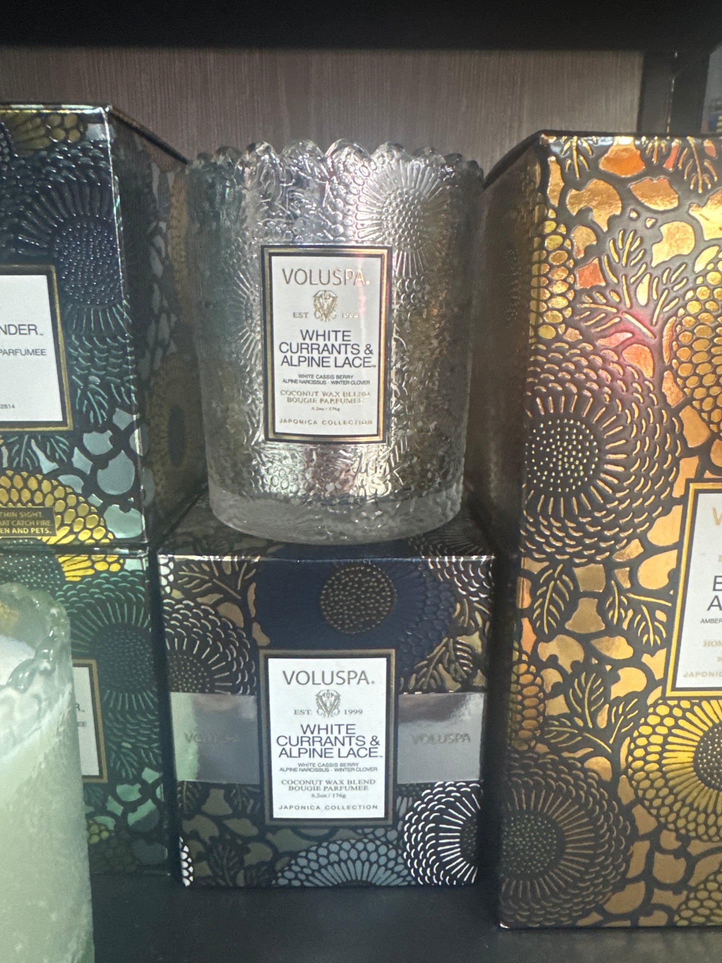 WHITE CURRANTS & ALPINE LACEI- SCALLOP CANDLEPOT