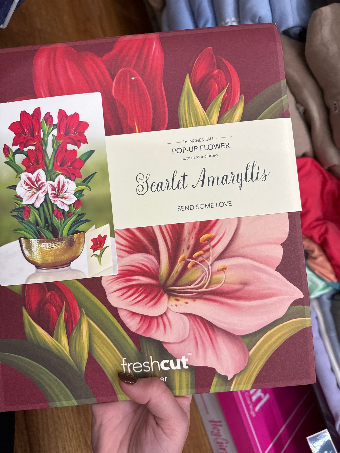 SCARLET AMARYLLIS - Pharm Favorites by Economy Pharmacy
