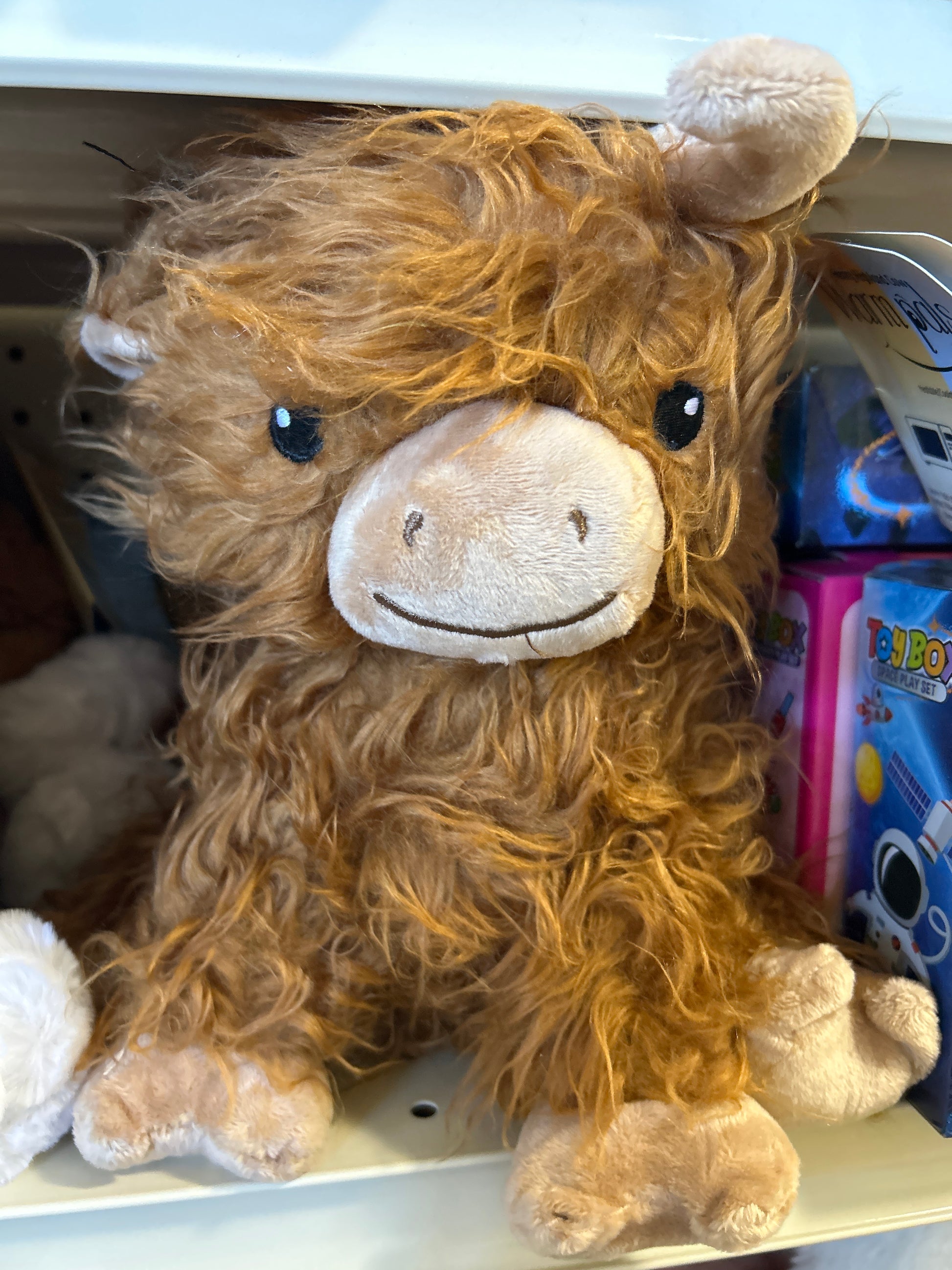 WARM PALS - HIGHLAND COW - Pharm Favorites by Economy Pharmacy
