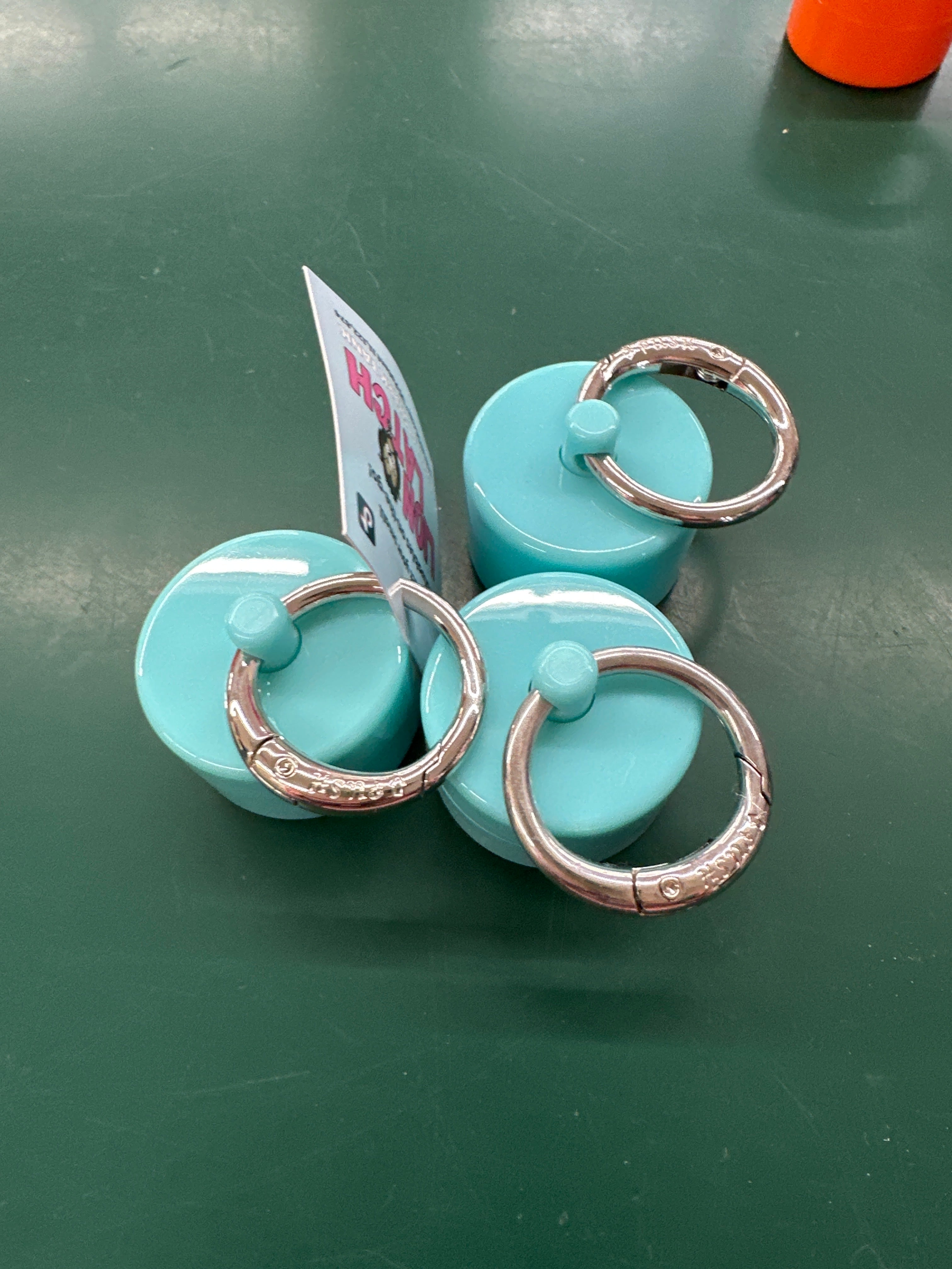 LION LATCH JEWELRY/PILL TOTE - MINT