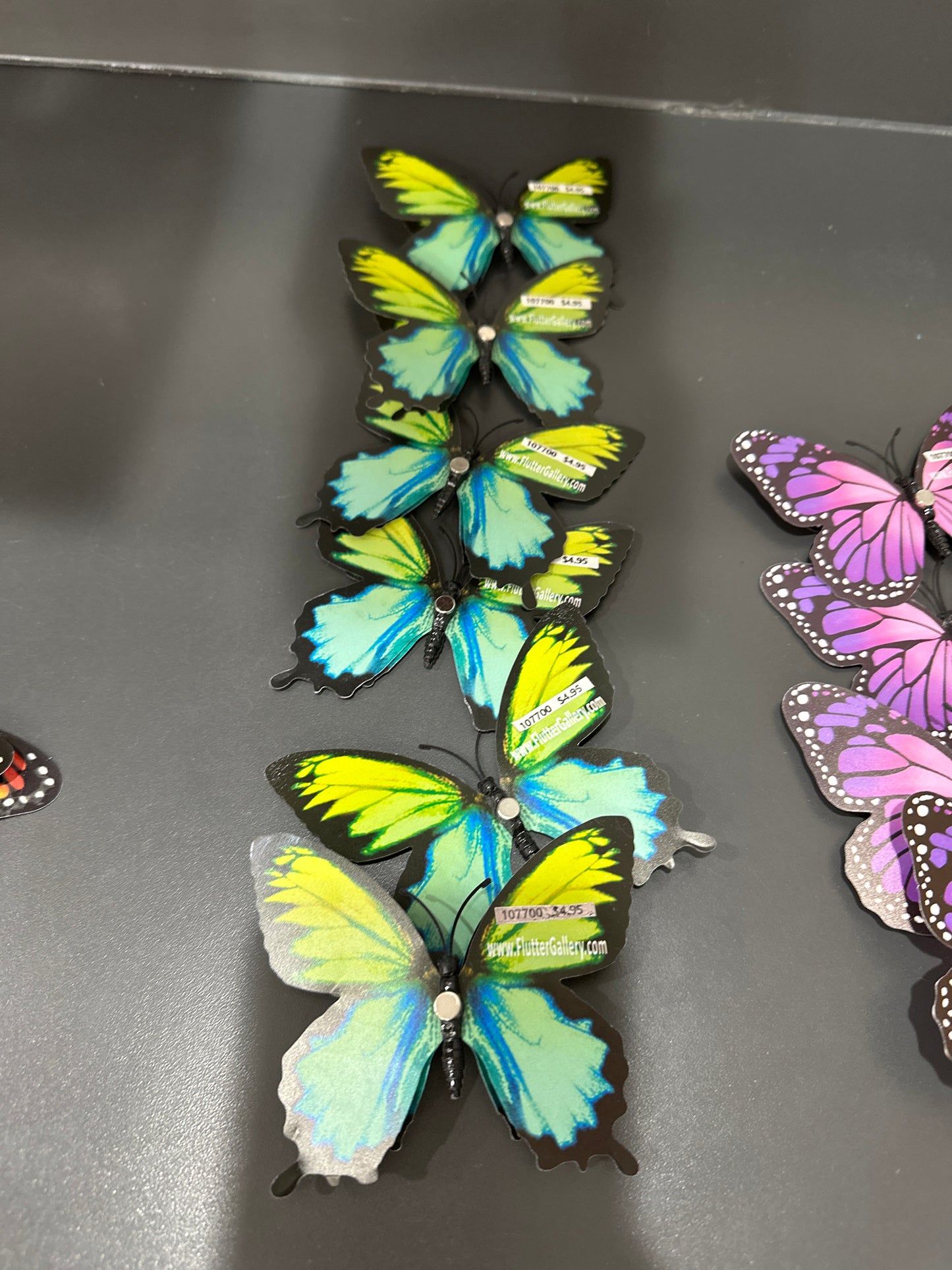 MAGNET BUTTERFLY - MEDIUM - Pharm Favorites by Economy Pharmacy