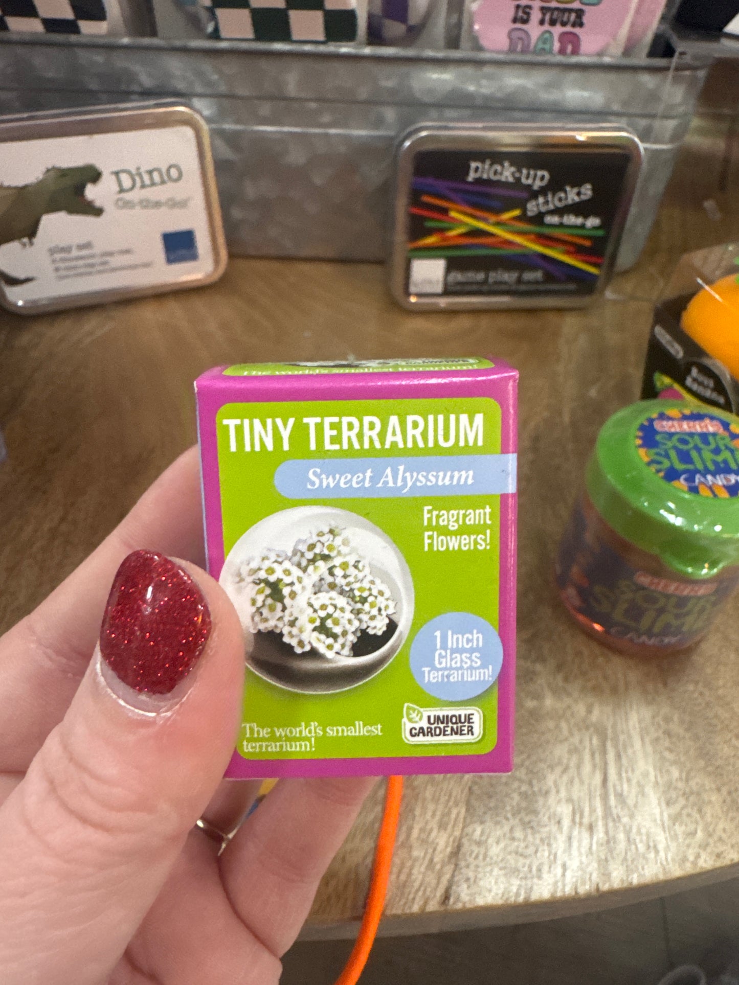 TINY TERRARIUM - SWEET ALYSSUM