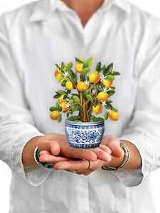 MINI LEMON TREE