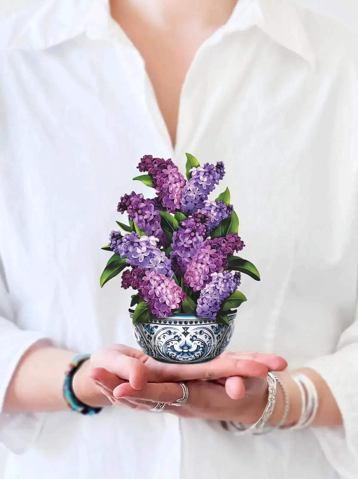 MINI GARDEN LILACS