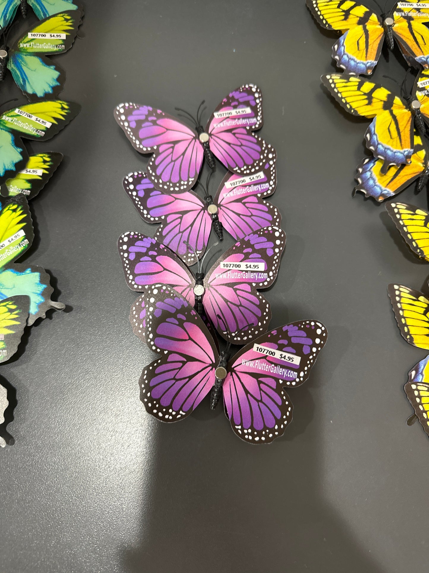 MAGNET BUTTERFLY - MEDIUM - Pharm Favorites by Economy Pharmacy