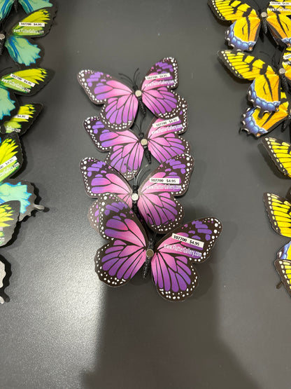 MAGNET BUTTERFLY - MEDIUM - Pharm Favorites by Economy Pharmacy