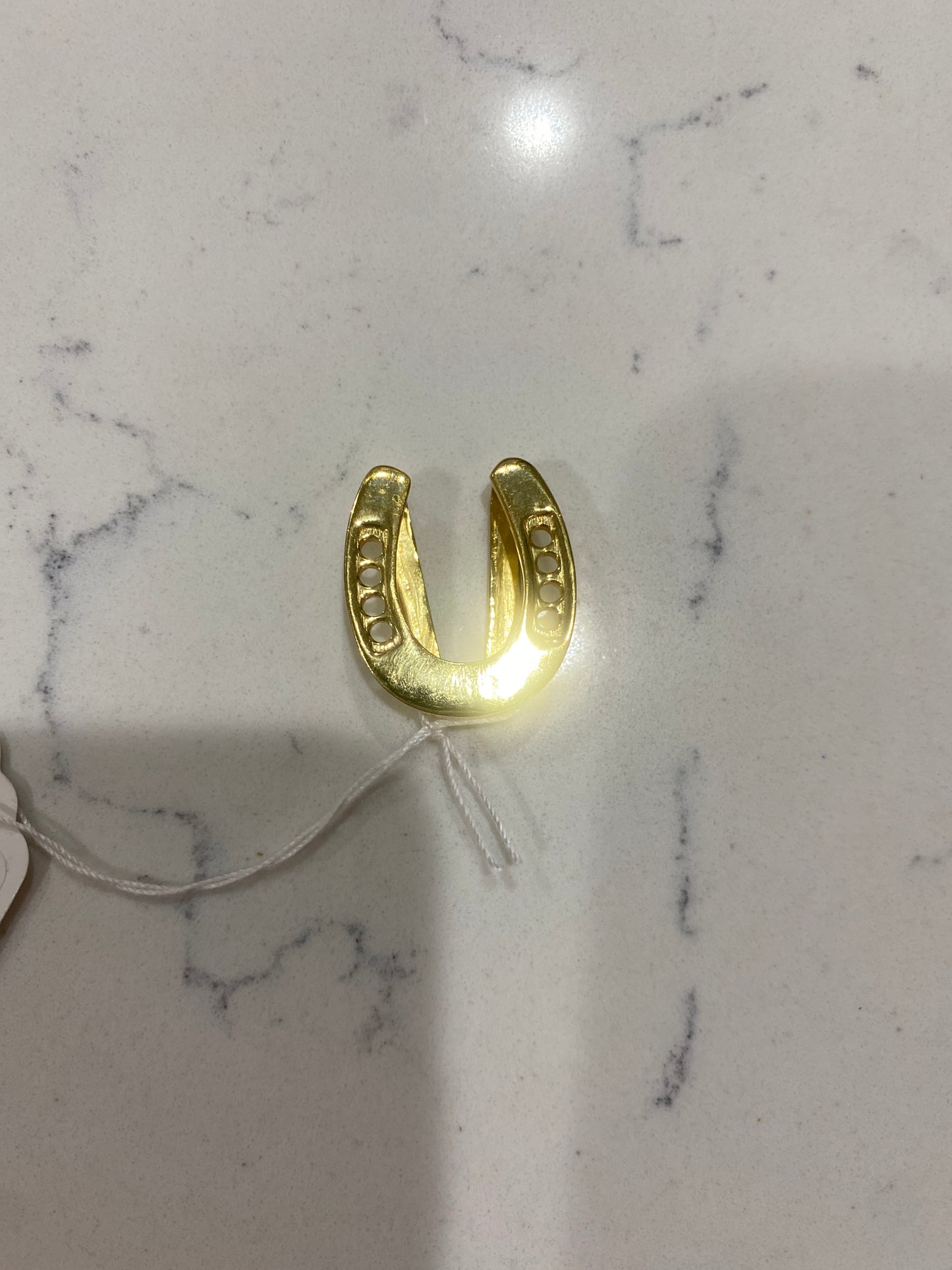 LUCKY HORSESHOE TWILLY SLIDER