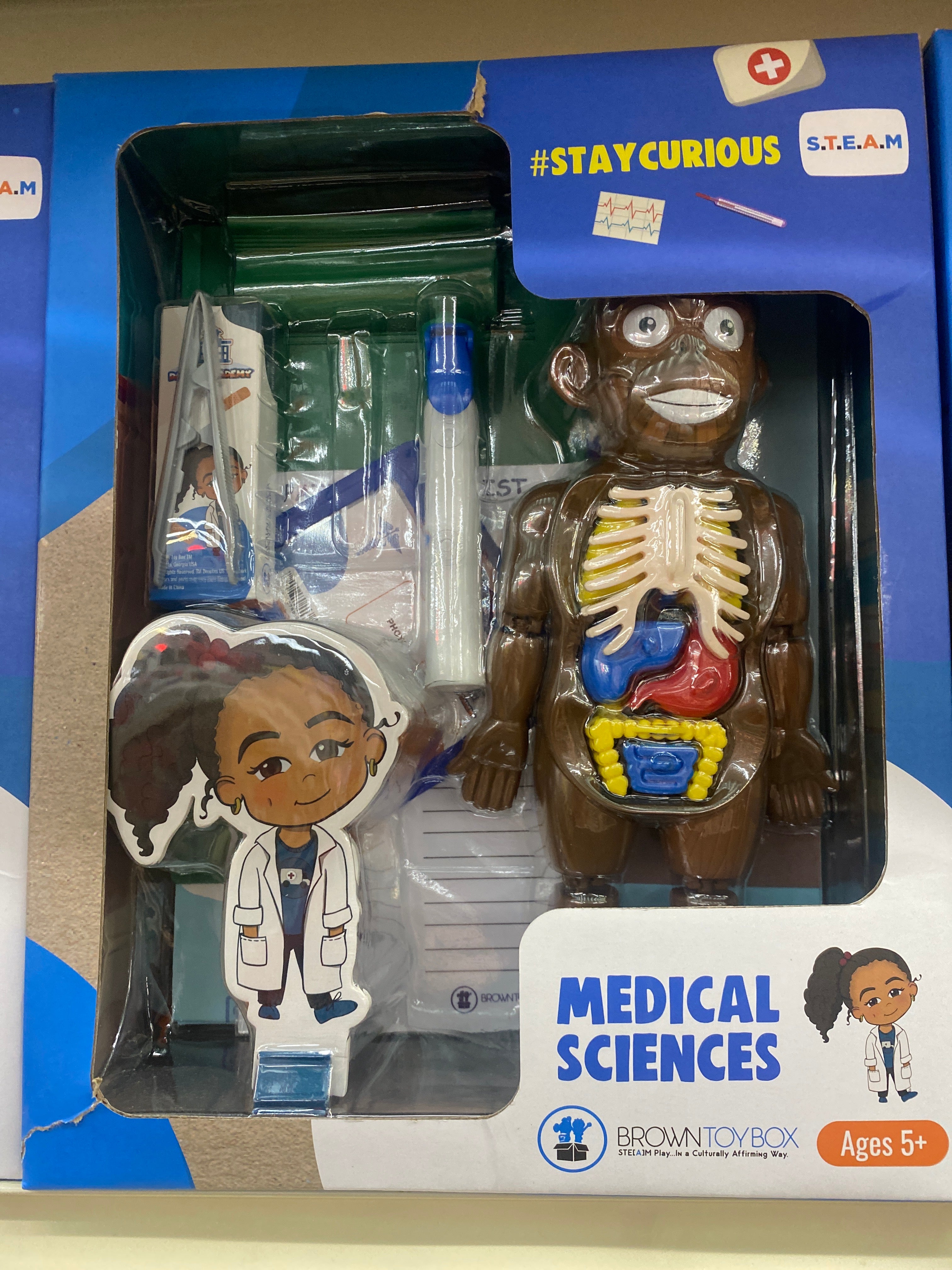 MEDICAL SCIENCES STEAM KIT