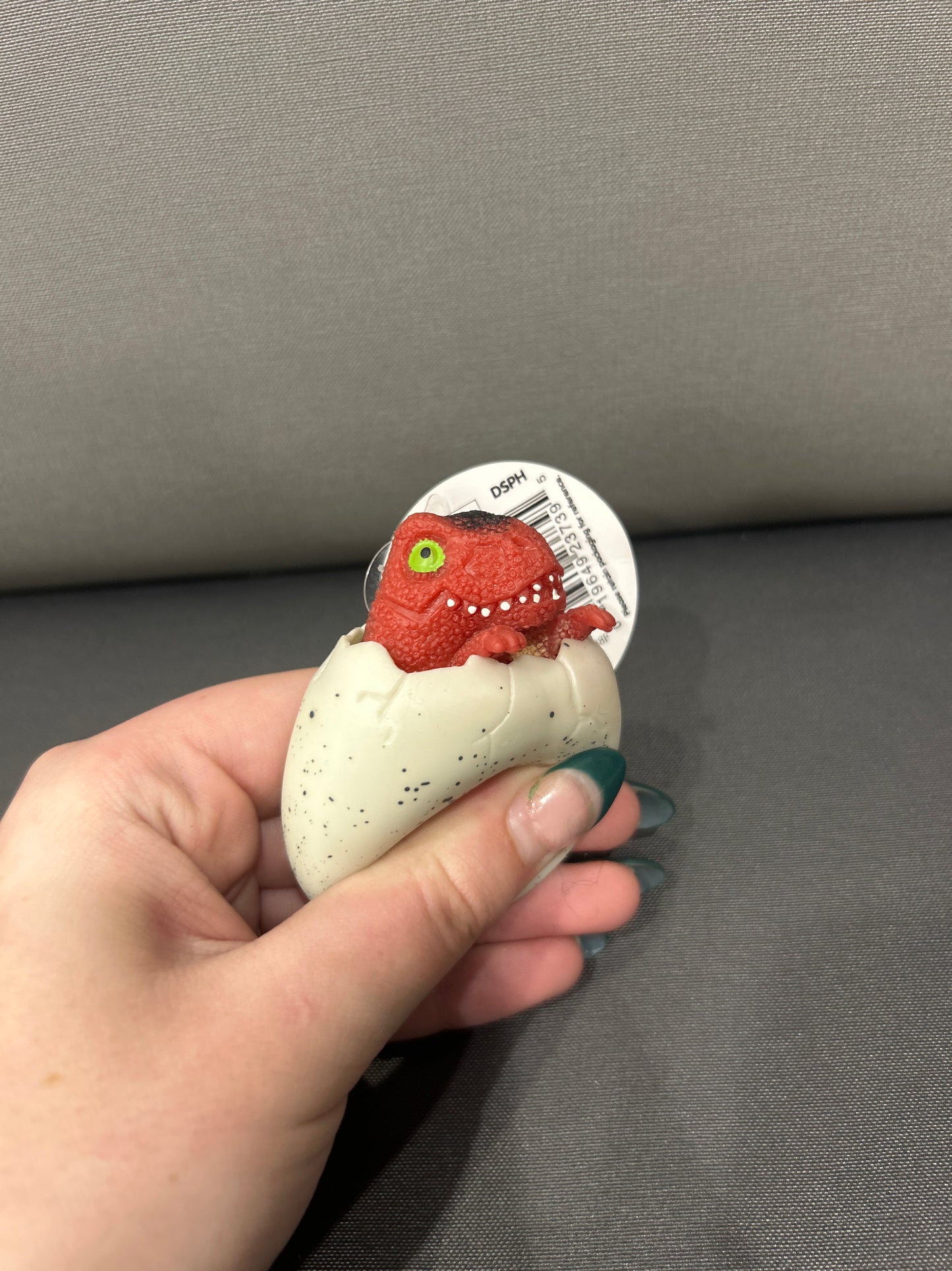 DINO SQUEAKY PEEK HATCHER - Pharm Favorites by Economy Pharmacy