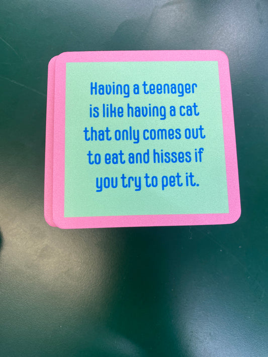 COASTER - TEENAGER/CAT