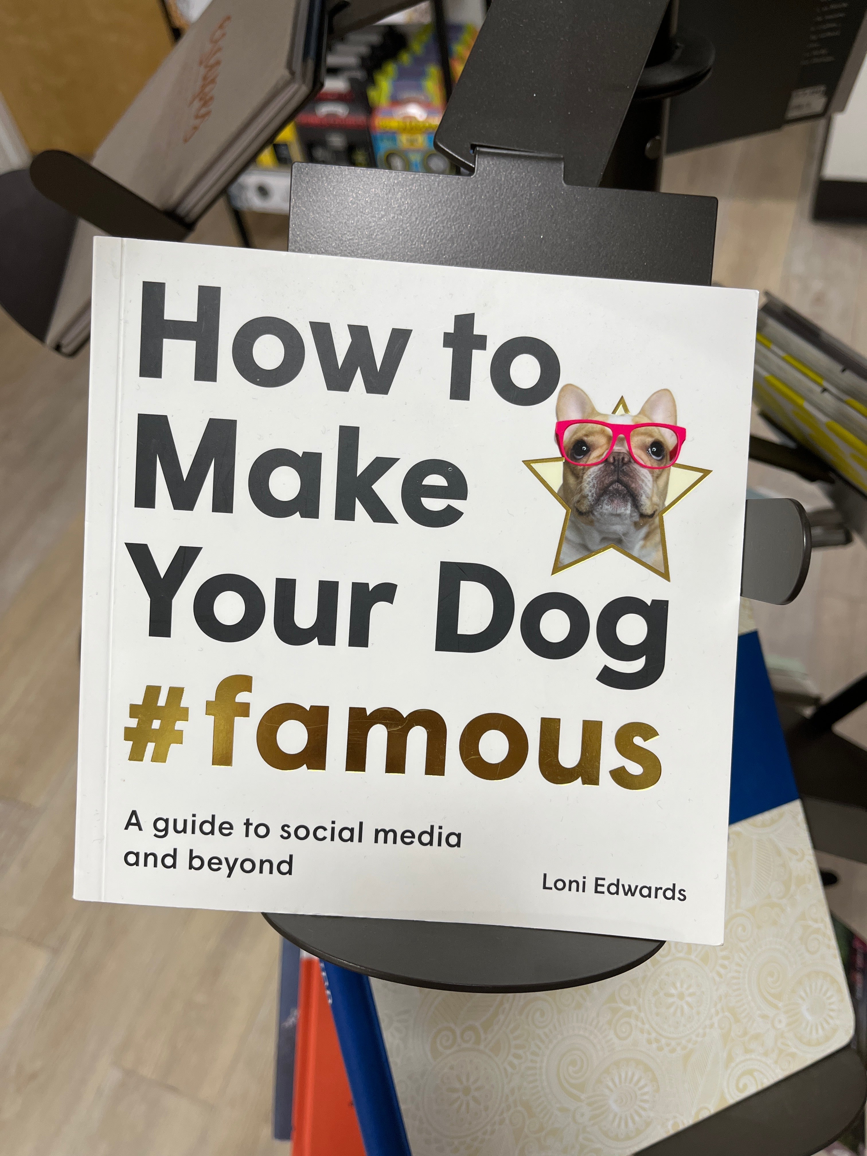 HOW TO MAKE YOUR DOG FAMOUS