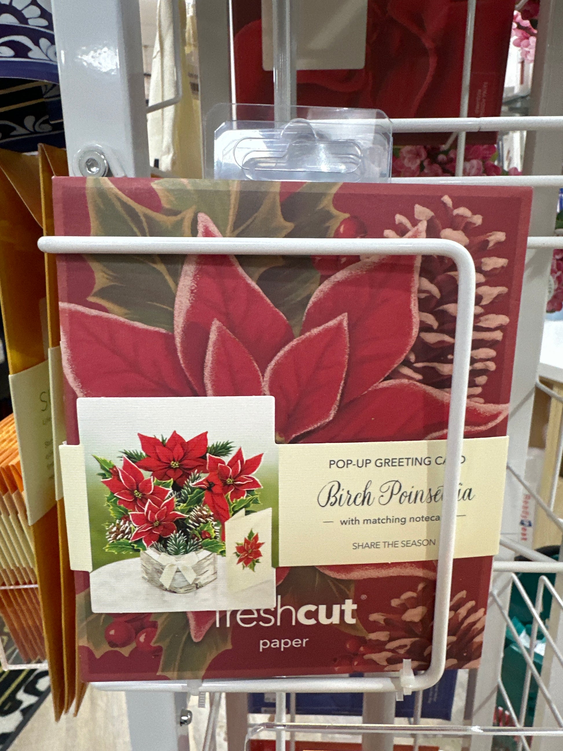 MINI BIRCH POINSETTIA - Pharm Favorites by Economy Pharmacy